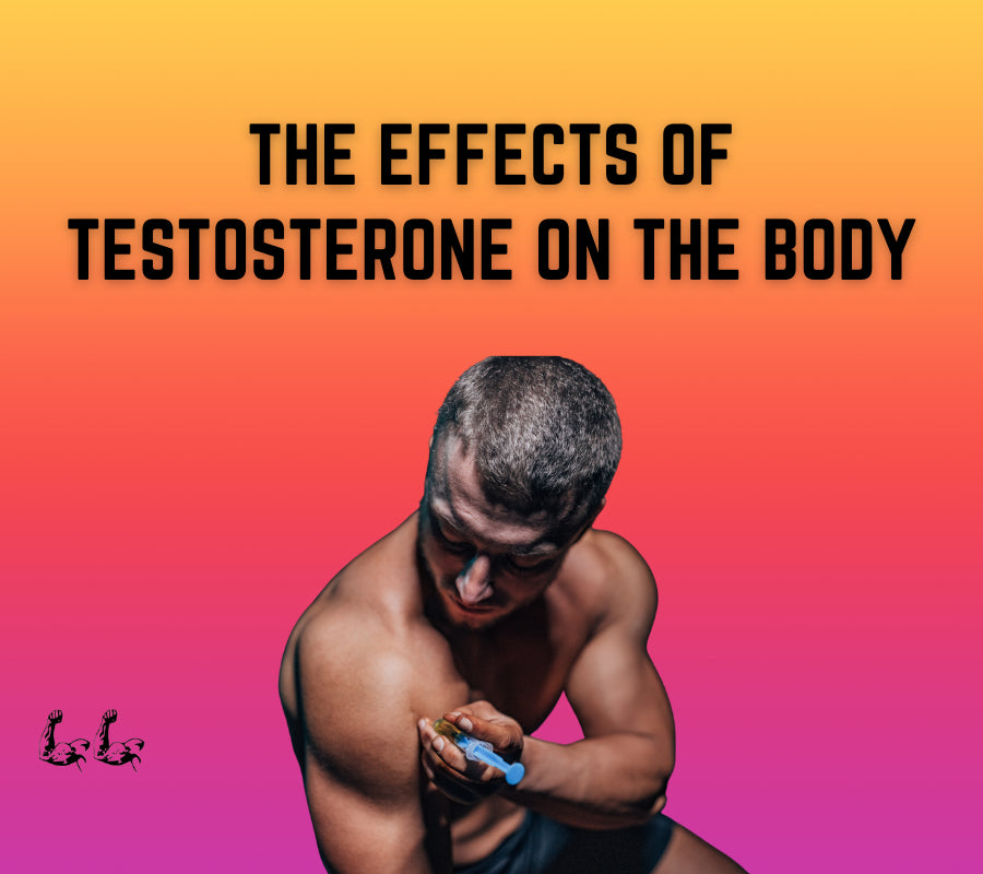 The Effects of Testosterone on the Body – Gallion