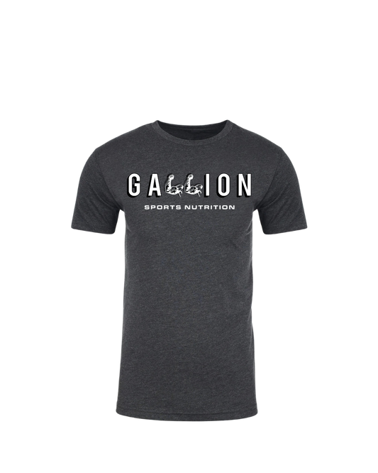 Heather Charcoal Gray Gallion T-Shirt