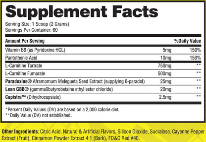 CARNISHRED™ NON STIM FAT BURNER - WORKOUT CATALYST 60 SERVINGS